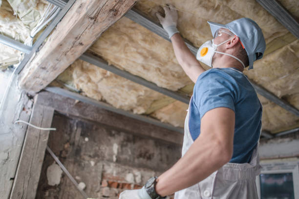 Best Residential Insulation in Montpelier, OH